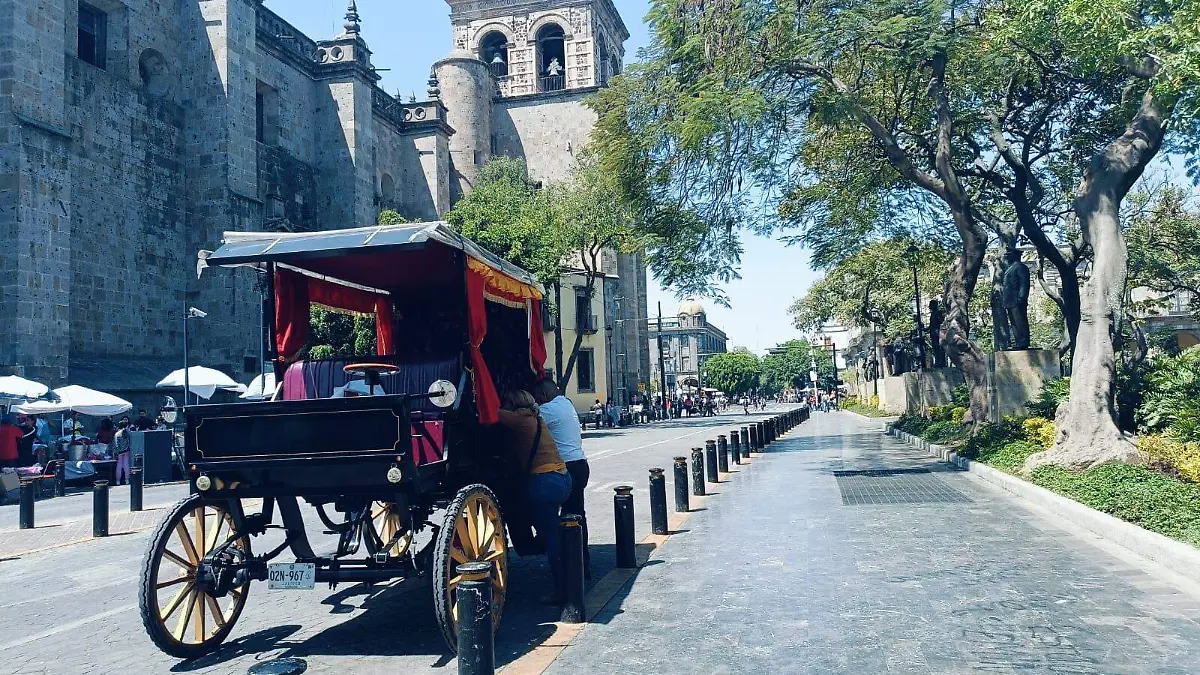 Guadalajara Isaura